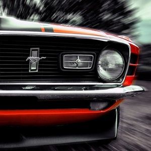 Meet your Posher, Reid